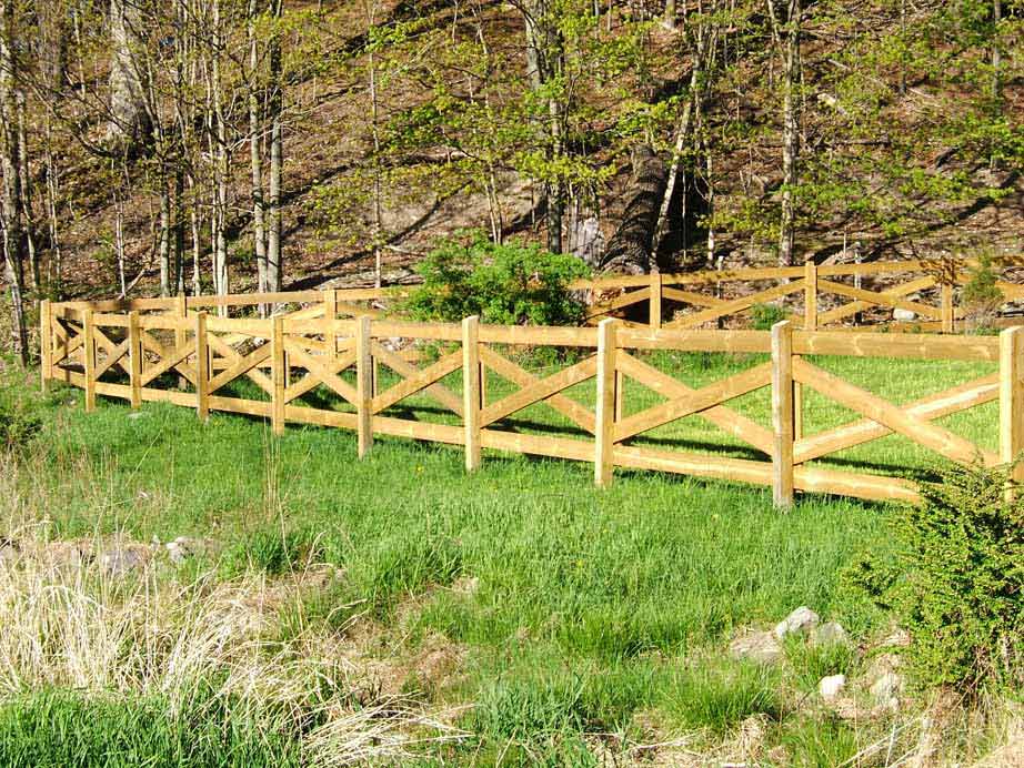 X Pattern Horse Fence