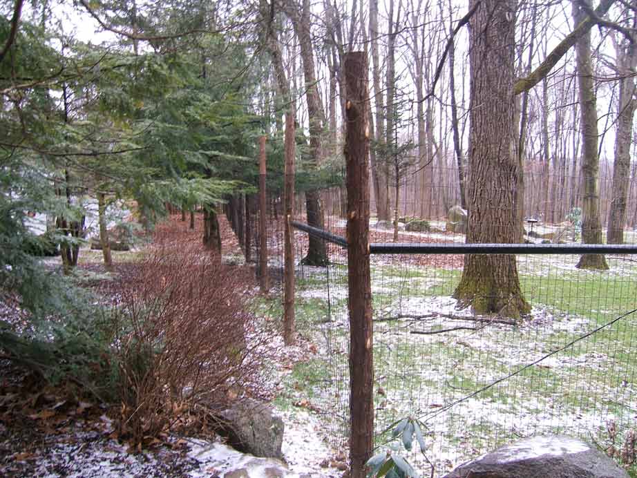 Deer Fence Constructed with Cedar Posts
