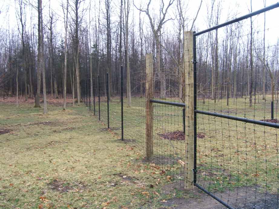 Deer Fence with Woven Wire and Steel Posts