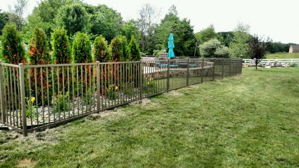 Pool Fence